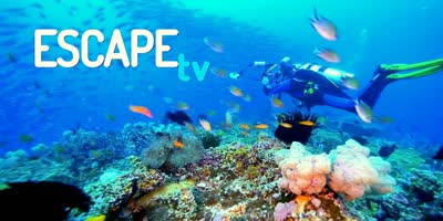 546 ESCAPE-TV-ENG