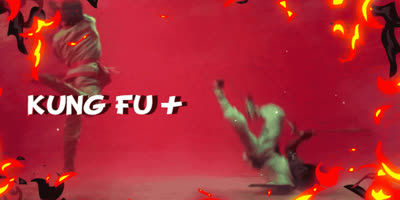 428 Kung Fu Action